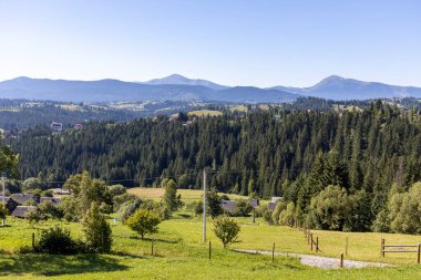Yazın Ukrayna Karpatları 'nda dağ manzarası.