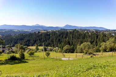 Yazın Ukrayna Karpatları 'nda dağ manzarası.