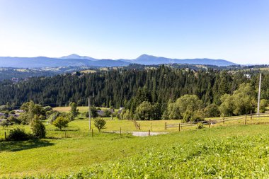 Yazın Ukrayna Karpatları 'nda dağ manzarası.