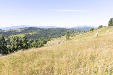 Yazın Ukrayna Karpatları 'nda dağ manzarası.