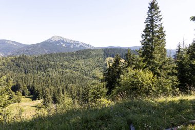 Yazın Ukrayna Karpatları 'nda dağ manzarası.