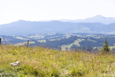 Yazın Ukrayna Karpatları 'nda dağ manzarası.