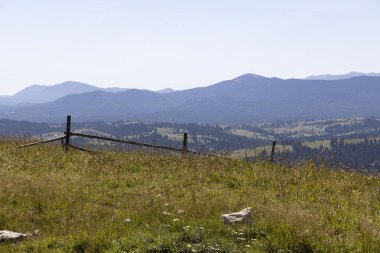 Yazın Ukrayna Karpatları 'nda dağ manzarası.
