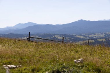 Yazın Ukrayna Karpatları 'nda dağ manzarası.