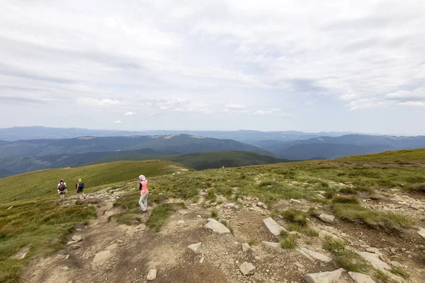 Mountain Landscape Ukrainian Carpathians Summer — Stockfoto