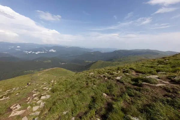Panorama Mountains Ukrainian Carpathians Summer Day — ストック写真