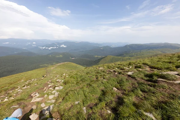 Panorama Mountains Ukrainian Carpathians Summer Day — ストック写真