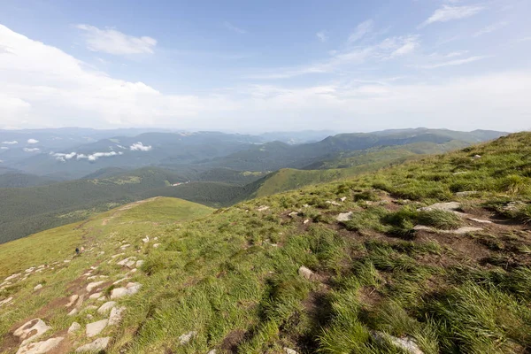 Bir yaz günü Ukrayna Karpatları 'nda dağ panoraması.