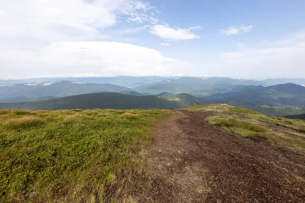 Bir yaz günü Ukrayna Karpatları 'nda dağ panoraması.