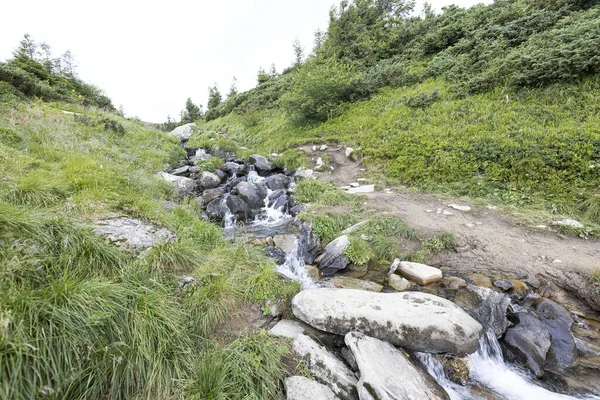 Гірський Потік Літній День Карпатах України — стокове фото