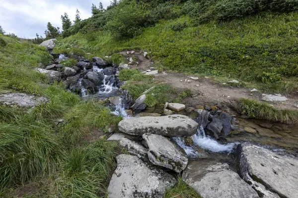 Гірський Потік Літній День Карпатах України — стокове фото