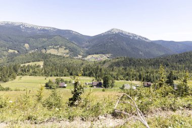 Yazın Ukrayna Karpatları 'nda dağ manzarası.