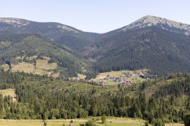Yazın Ukrayna Karpatları 'nda dağ manzarası.