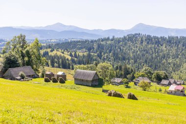 Bir yaz günü Ukrayna Karpatları 'nda dağ panoraması.