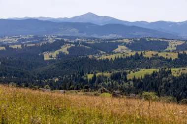 Yazın Ukrayna Karpatları 'nda dağ manzarası.