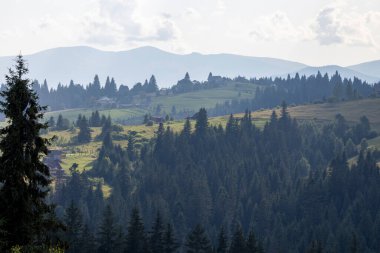 Bir yaz günü Ukrayna Karpatları 'nda dağ panoraması.