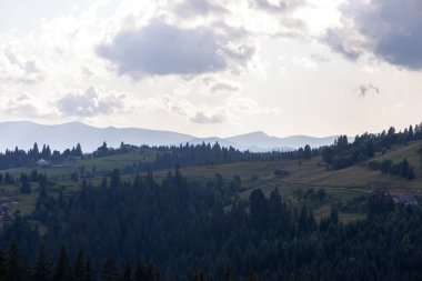 Bir yaz günü Ukrayna Karpatları 'nda dağ panoraması.