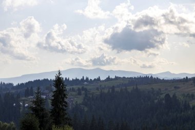 Bir yaz günü Ukrayna Karpatları 'nda dağ panoraması.
