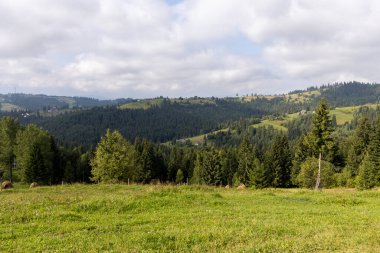 Bir yaz günü Ukrayna Karpatları 'nda dağ panoraması.