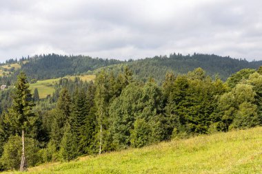 Bir yaz günü Ukrayna Karpatları 'nda dağ panoraması.