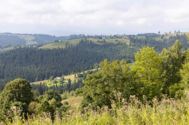 Bir yaz günü Ukrayna Karpatları 'nda dağ panoraması.