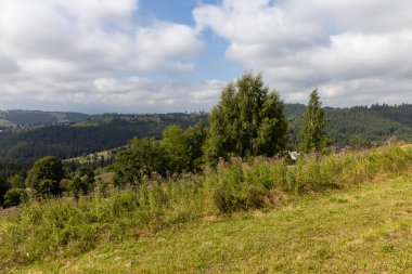 Bir yaz günü Ukrayna Karpatları 'nda dağ panoraması.