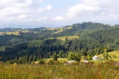 Bir yaz günü Ukrayna Karpatları 'nda dağ panoraması.