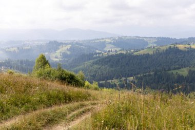 Bir yaz günü Ukrayna Karpatları 'nda toprak dağ yolu.