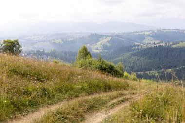 Bir yaz günü Ukrayna Karpatları 'nda toprak dağ yolu.
