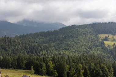 Bir yaz günü Ukrayna Karpatları 'nda dağ panoraması.