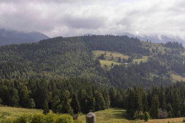Bir yaz günü Ukrayna Karpatları 'nda dağ panoraması.