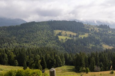 Bir yaz günü Ukrayna Karpatları 'nda dağ panoraması.