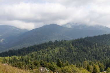 Bir yaz günü Ukrayna Karpatları 'nda dağ panoraması.