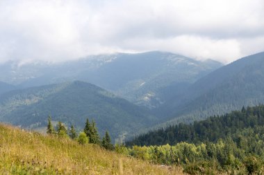 Bir yaz günü Ukrayna Karpatları 'nda dağ panoraması.