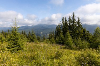 Bir yaz günü Ukrayna Karpatları 'nda dağ panoraması.