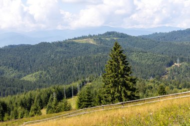 Bir yaz günü Ukrayna Karpatları 'nda dağ panoraması.