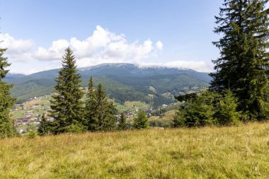 Bir yaz günü Ukrayna Karpatları 'nda dağ panoraması.