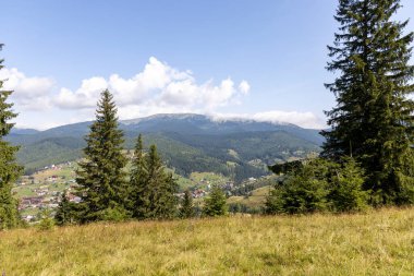 Bir yaz günü Ukrayna Karpatları 'nda dağ panoraması.