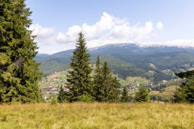 Bir yaz günü Ukrayna Karpatları 'nda dağ panoraması.