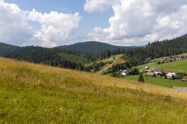 Bir yaz günü Ukrayna Karpatları 'nda dağ panoraması.