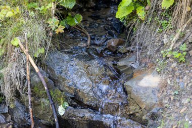 Ukrayna Karpatları 'nda bir yaz gününde dağ deresi