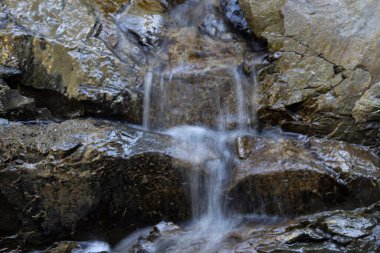 Ukrayna Karpatları 'nda bir yaz gününde dağ deresi