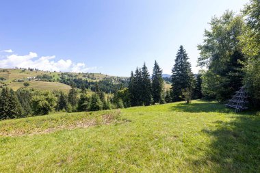 Ukrayna Karpatları 'nda yeşil dağ çayırları