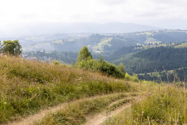 Bir yaz günü Ukrayna Karpatları 'nda toprak dağ yolu.