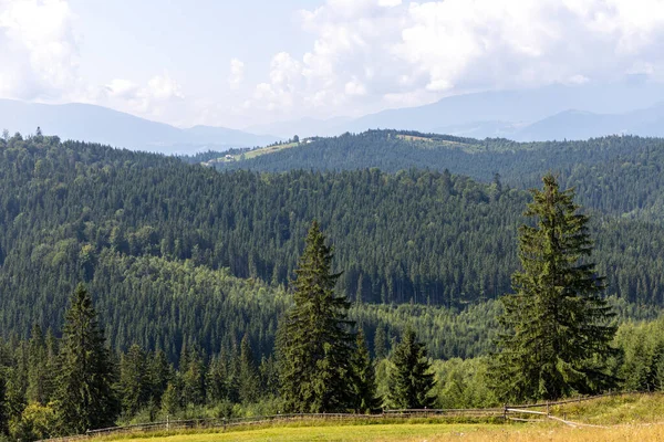 Bir yaz günü Ukrayna Karpatları 'nda dağ panoraması.