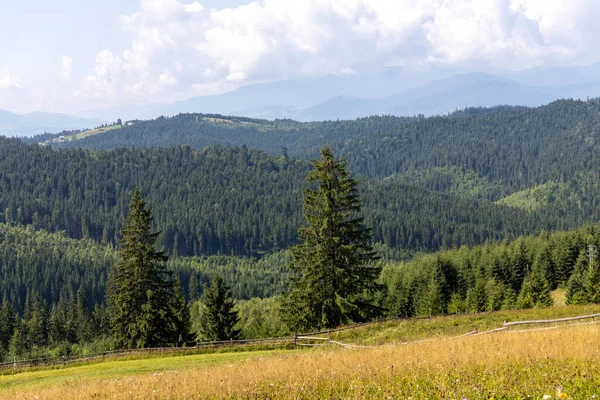 Bir yaz günü Ukrayna Karpatları 'nda dağ panoraması.