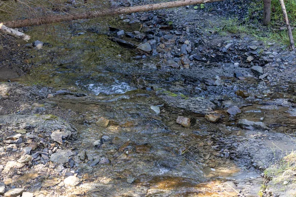 Arroyo Montaña Día Verano Los Cárpatos Ucranianos — Foto de Stock