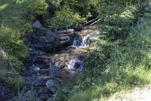 Гірський Потік Літній День Карпатах України — стокове фото