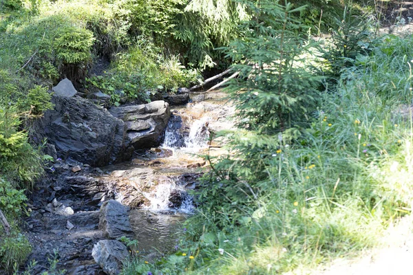 Mountain Stream Summer Day Ukrainian Carpathians — Fotografia de Stock