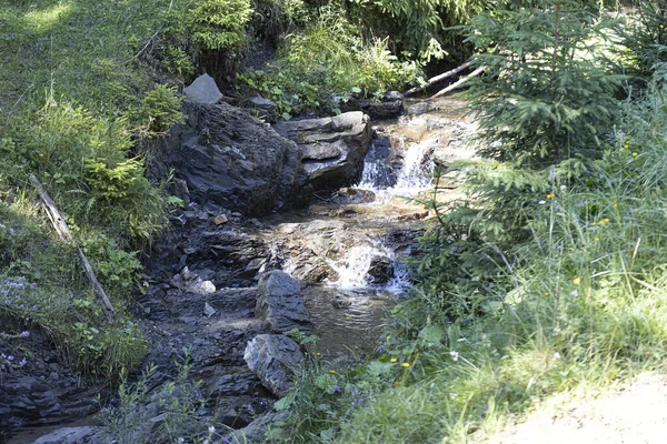 Mountain Stream Summer Day Ukrainian Carpathians — Fotografia de Stock